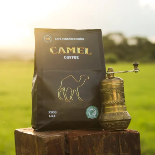 Alternative view of KIT Arábia Gold + Camel